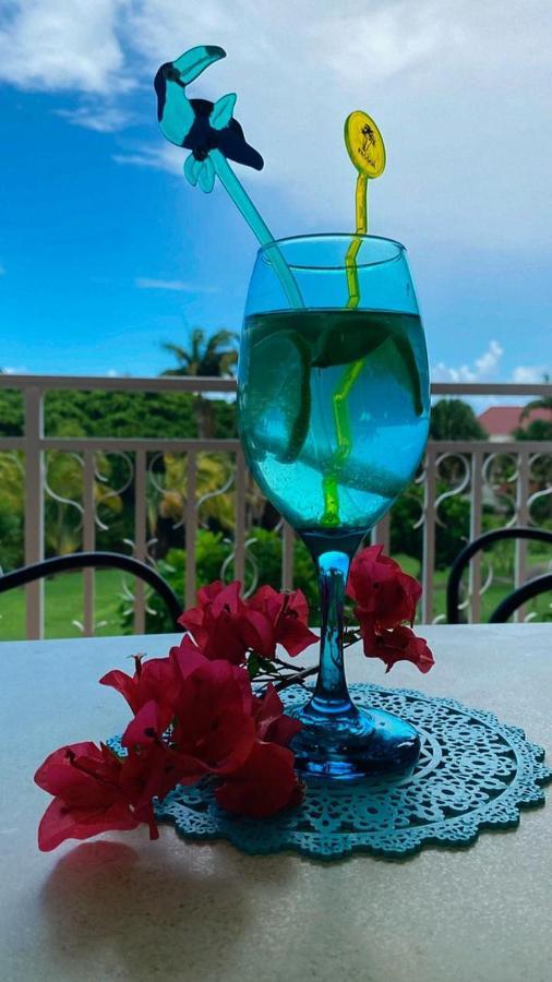 Studio Charme Creole Acces Plage Sainte-Luce Ngoại thất bức ảnh